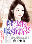 new-novel