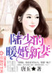 new-novel