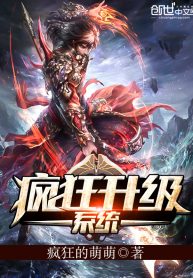 Crazy-Leveling-System