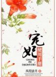 chongfei-manual