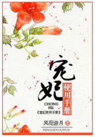chongfei-manual