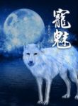 the-charm-of-soul-pets-193×278