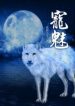 the-charm-of-soul-pets-193×278