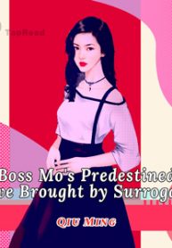 Boss-Mo’s-Predestined-Love-Brought-by-Surrogacy