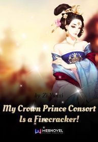 my-crown-prince-consort-is-a-firecracker