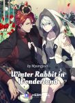 winter-rabbit-in-wonderland