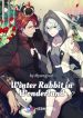 winter-rabbit-in-wonderland