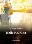 hello-mr-king