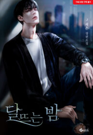 a-moonlit-night