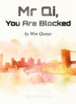 mr-qi-you-are-blocked