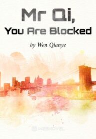mr-qi-you-are-blocked