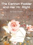 the-cannon-fodder-and-her-mr-right