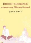 hidden-marriage-a-heaven-sent-billionaire-husband
