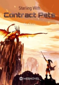 starting-with-contract-pets