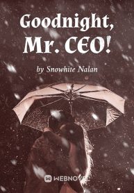 goodnight-mr-ceo