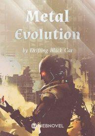 metal-evolution