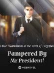 pampered-by-mr-president