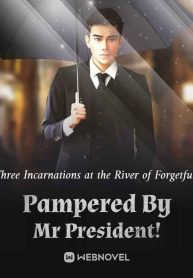 pampered-by-mr-president