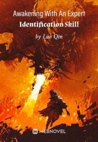 awakening-with-an-expert-identification-skill