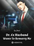 dr-ex-husband-wants-to-remarry-me