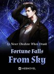 fortune-falls-from-sky