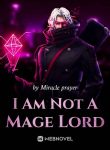 i-am-not-a-mage-lord