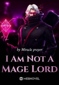 i-am-not-a-mage-lord