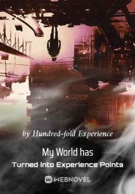 my-world-has-turned-into-experience-points
