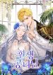 the-princess-reincarnation