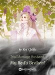 trial-marriage-husband-my-beds-broken