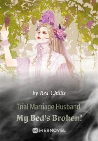 trial-marriage-husband-my-beds-broken