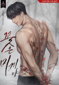 thumb_61ab68e228e9c